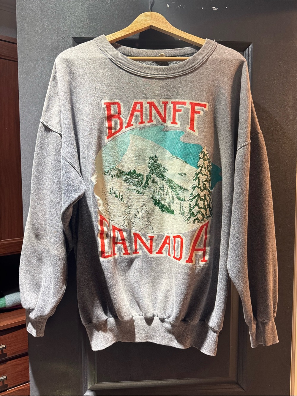 Banff Canada Graphic Sweatshirt - Gray